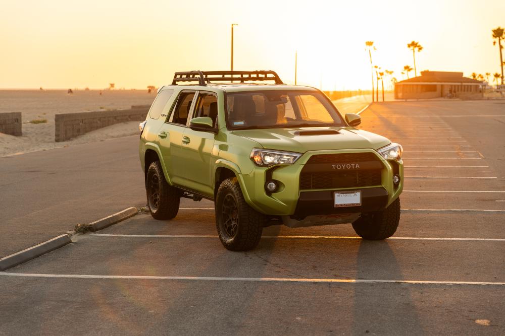 10004runner14